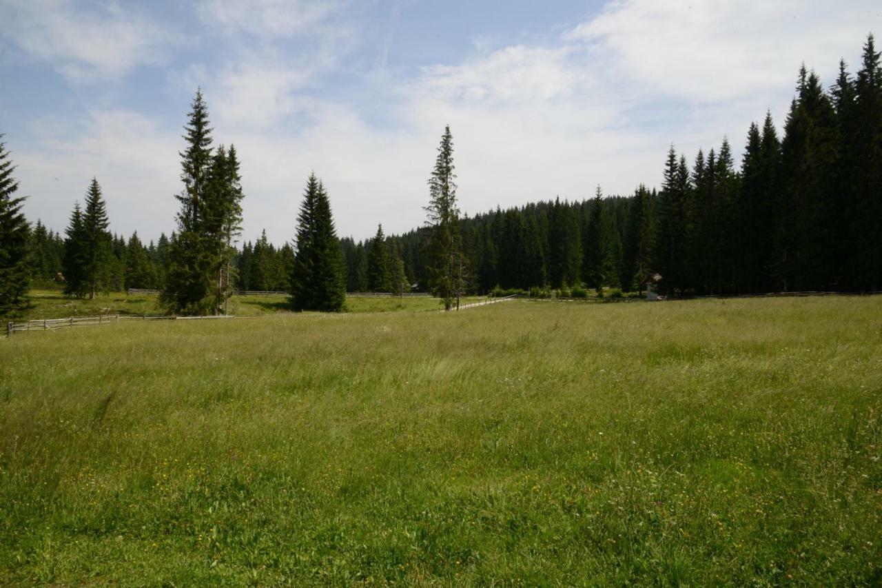 Pocitniska Hisa Jurcek Pokljuka Villa Goreljek Exterior photo